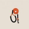 Dog Walking Rope Reflective Tracking Leash